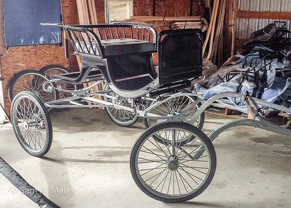 Undercut Carriage for Dutch Harness Horse