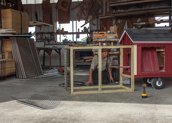 Amish Animal Pen Shop