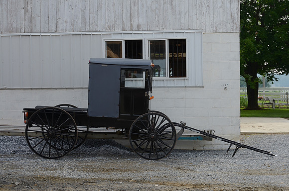 Pickup Buggy