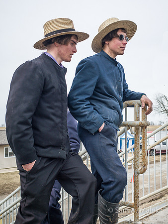 Two Young Men
