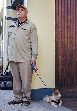 Man & Dog