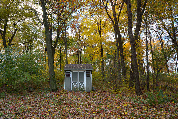 Amish Shed