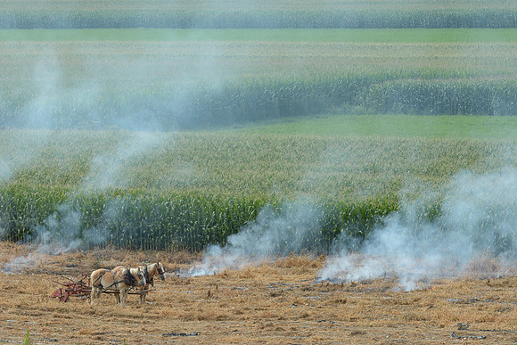 Field Clearing