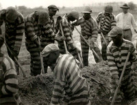 Chain Gang (Ulmann ca.1933)