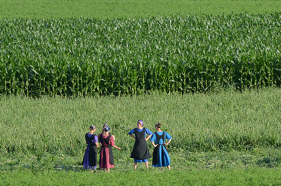 Amish Girls no. 14