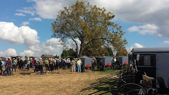 Buggy Auction