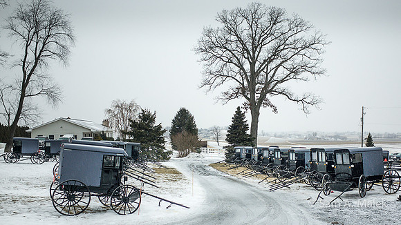 Amish Winter Wedding - Parked III