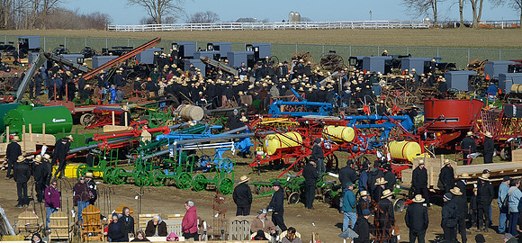 Buggy Auction