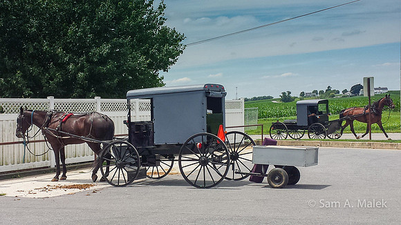 Amish Shopping Buggies