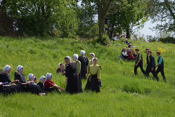 Playing the Field