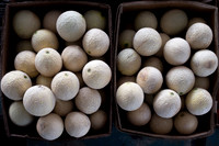 Cantaloupes