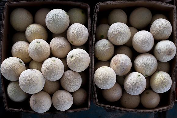 Cantaloupes