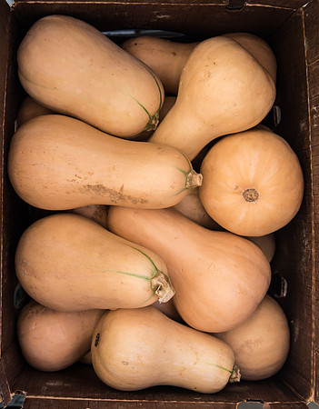 Baby Butternut Squash