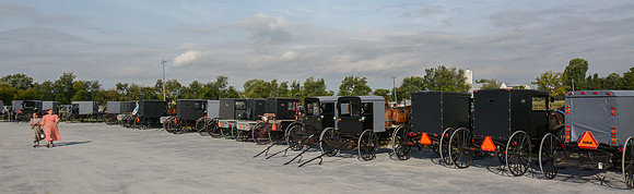 Amish & Mennonite Buggies
