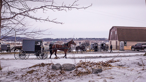 Amish Winter Wedding - Arrival